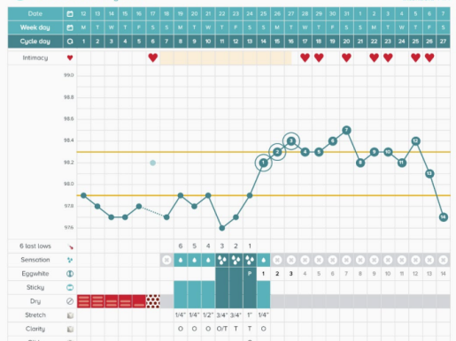 MLD3 SymptoPro Fertility Education